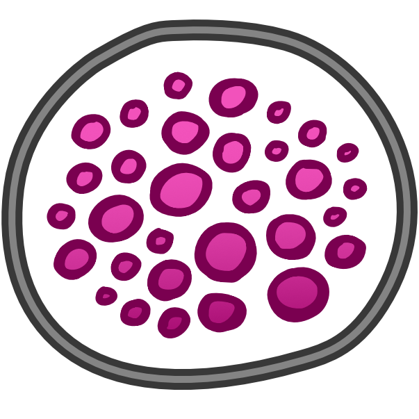 a black line with a grey interior encircles a collection of pink circles with various shades and sizes. Each pink circle has a thick dark pink outline. 